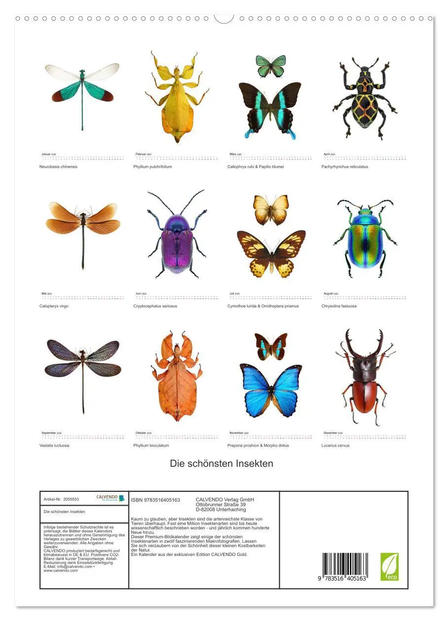 Bild: 9783516405163 | Die schönsten Insekten (hochwertiger Premium Wandkalender 2026 DIN...