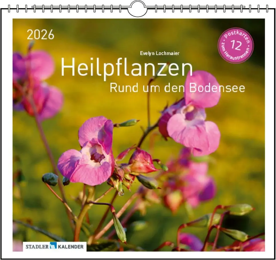 Cover: 9783861925163 | Heilpfanzen rund um den Bodensee 2026 | Postkarten-Tischkalender