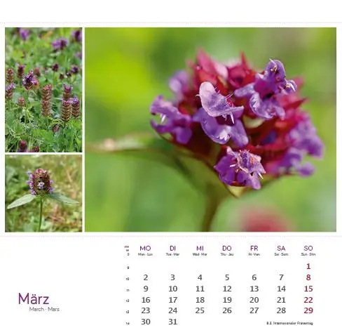 Bild: 9783861925163 | Heilpfanzen rund um den Bodensee 2026 | Postkarten-Tischkalender