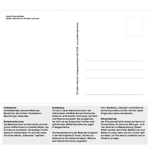 Bild: 9783861925163 | Heilpfanzen rund um den Bodensee 2026 | Postkarten-Tischkalender