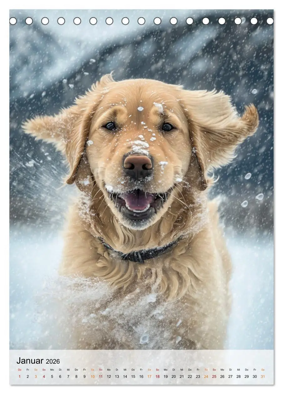 Bild: 9783516325263 | Golden Retriever - ein Hund für die Familie (Tischkalender 2026 DIN...