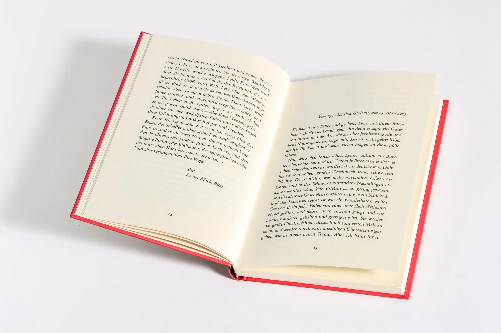 Bild: 9783730615263 | Briefe an einen jungen Dichter | Rainer Maria Rilke | Buch | 96 S.