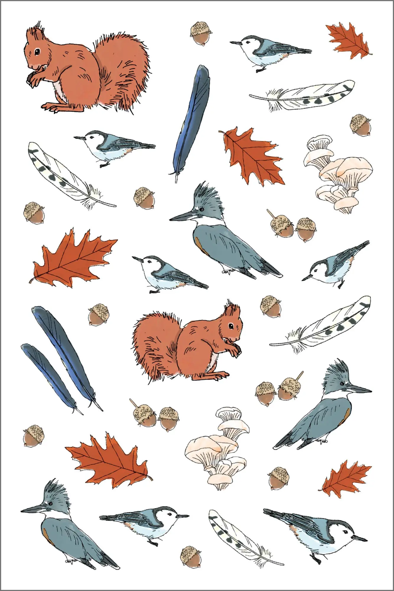 Bild: 9781635865363 | Nature Anatomy Sticker Book | Julia Rothman | Taschenbuch | Englisch