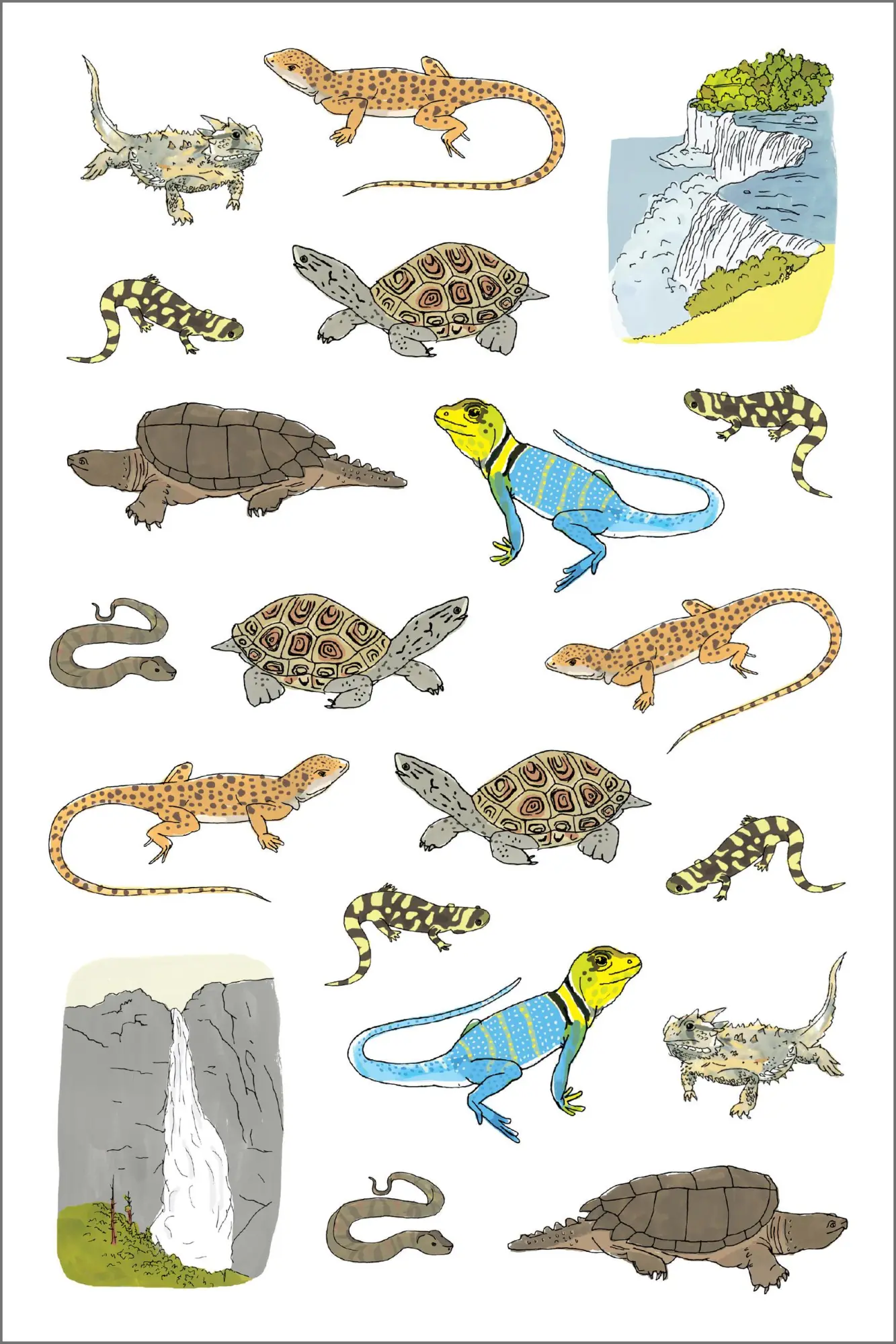 Bild: 9781635865363 | Nature Anatomy Sticker Book | Julia Rothman | Taschenbuch | Englisch
