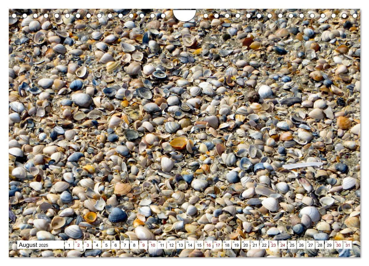 Bild: 9783435205363 | Walcheren 2025 (Wandkalender 2025 DIN A4 quer), CALVENDO...