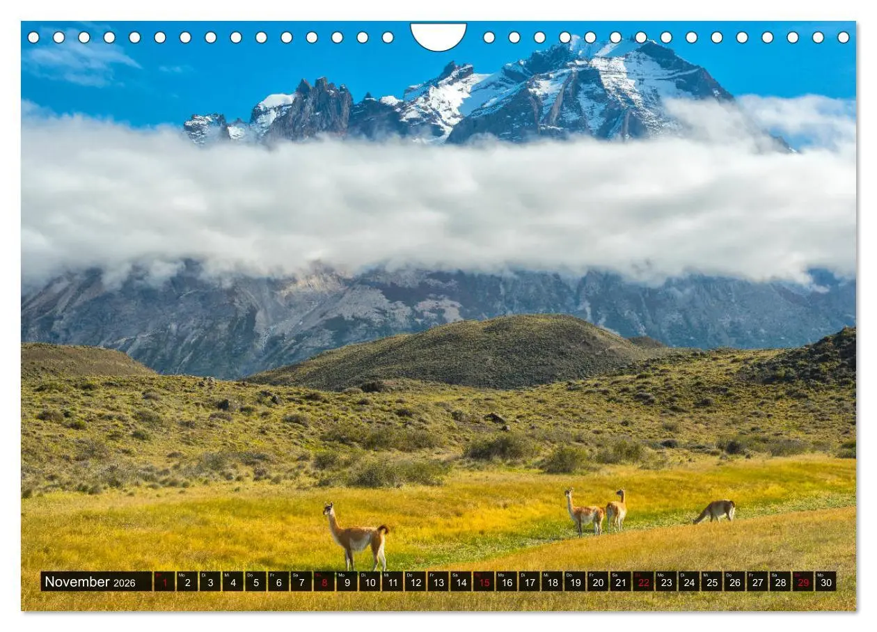 Bild: 9783457775363 | Patagonien und Feuerland (Wandkalender 2026 DIN A4 quer), CALVENDO...