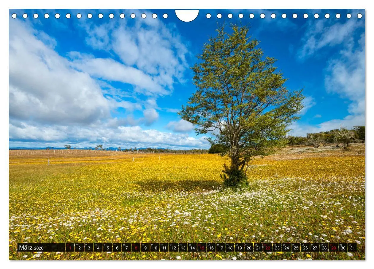 Bild: 9783457775363 | Patagonien und Feuerland (Wandkalender 2026 DIN A4 quer), CALVENDO...