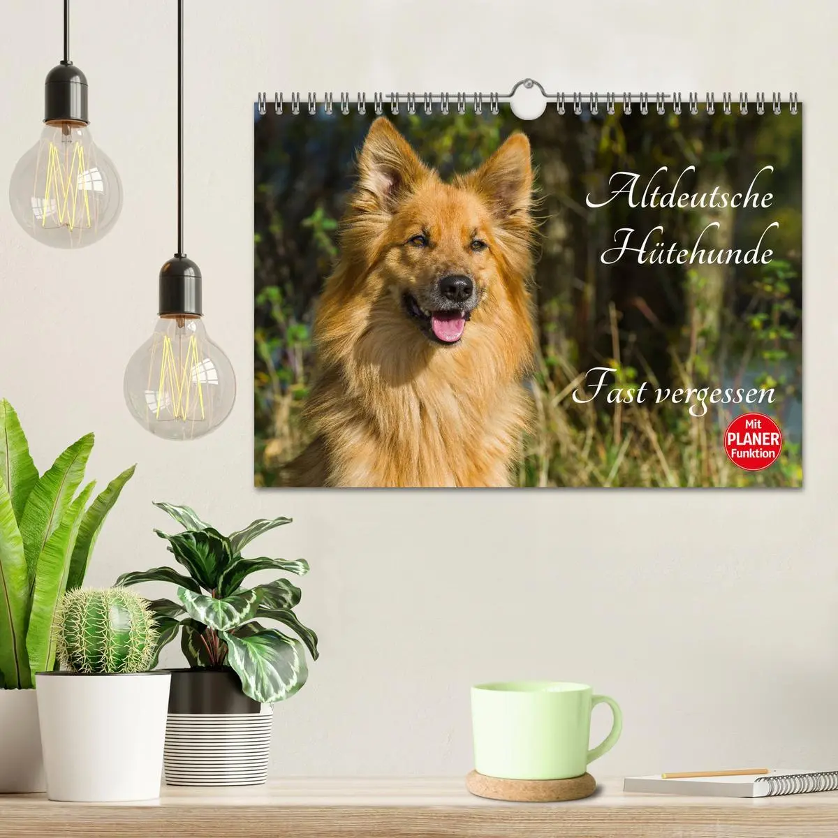 Bild: 9783516005363 | Altdeutsche Hütehunde - Fast vergessen (Wandkalender 2026 DIN A4...