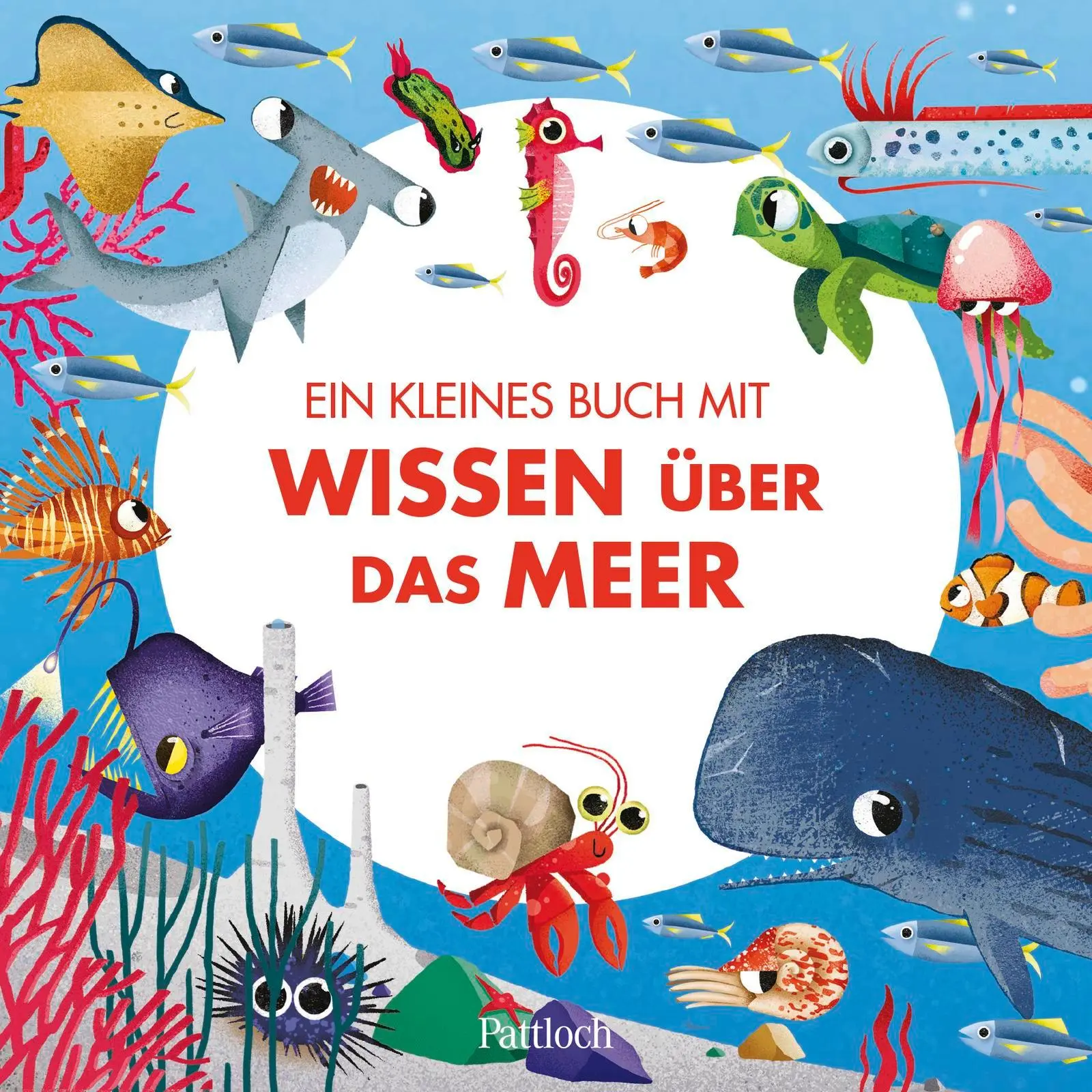 Bild: 4260308345463 | Meine erste Puzzle-Box. Der Ozean | Carolina Grosa | Spiel | Schachtel