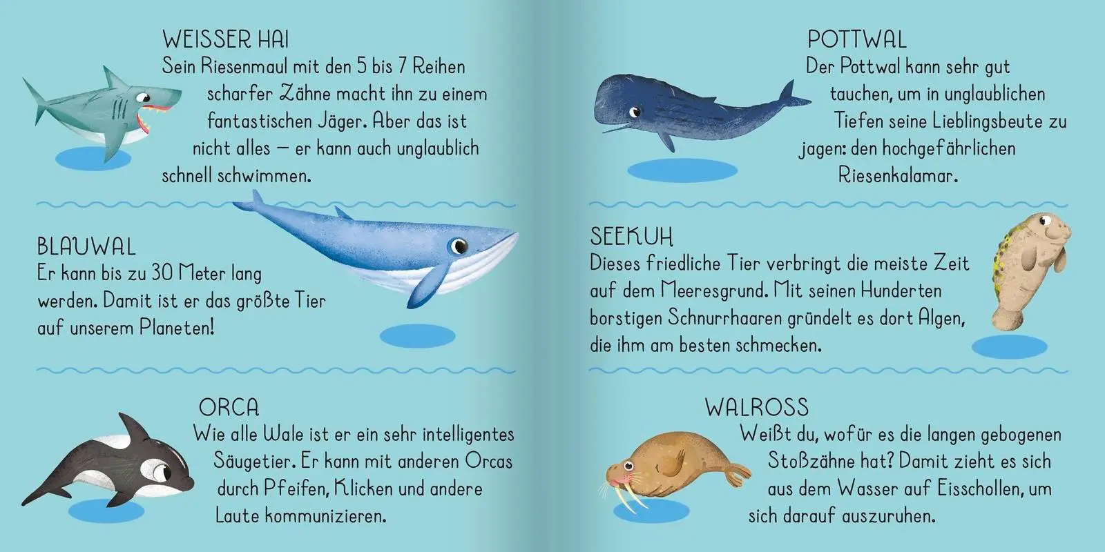 Bild: 4260308345463 | Meine erste Puzzle-Box. Der Ozean | Carolina Grosa | Spiel | Schachtel