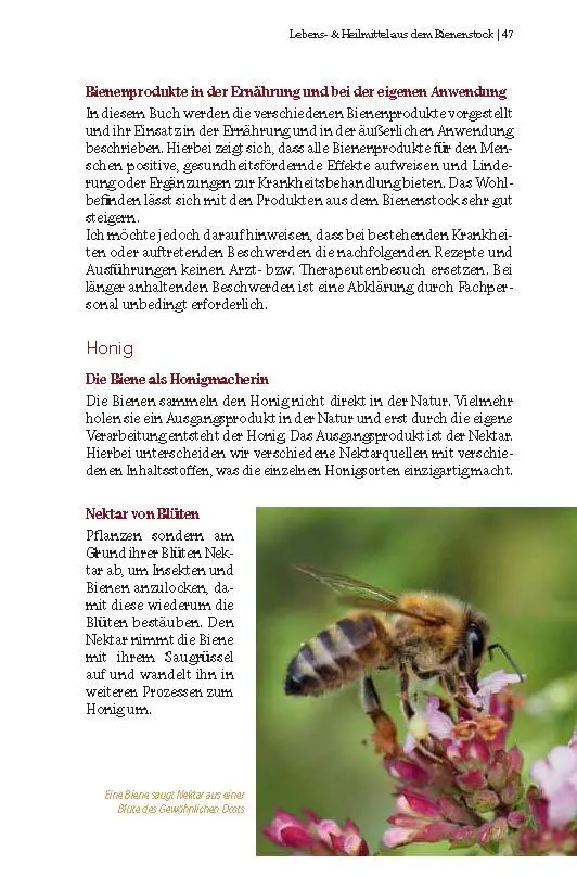 Bild: 9783892515463 | Bienenschätze - Honig, Pollen, Propolis &amp; Co. | Gertraud Heidinger