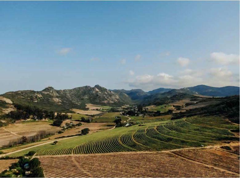 Bild: 9789401485463 | 150 Vineyards You Need to Visit Before You Die | Shana Clarke | Buch
