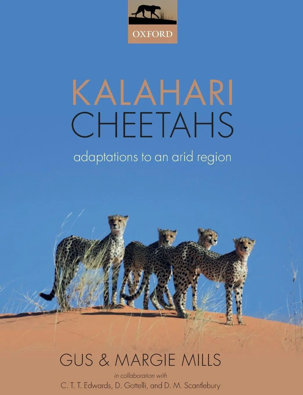 Cover: 9780198815563 | Kalahari Cheetahs | Adaptations to an Arid Region | Gus Mills (u. a.)