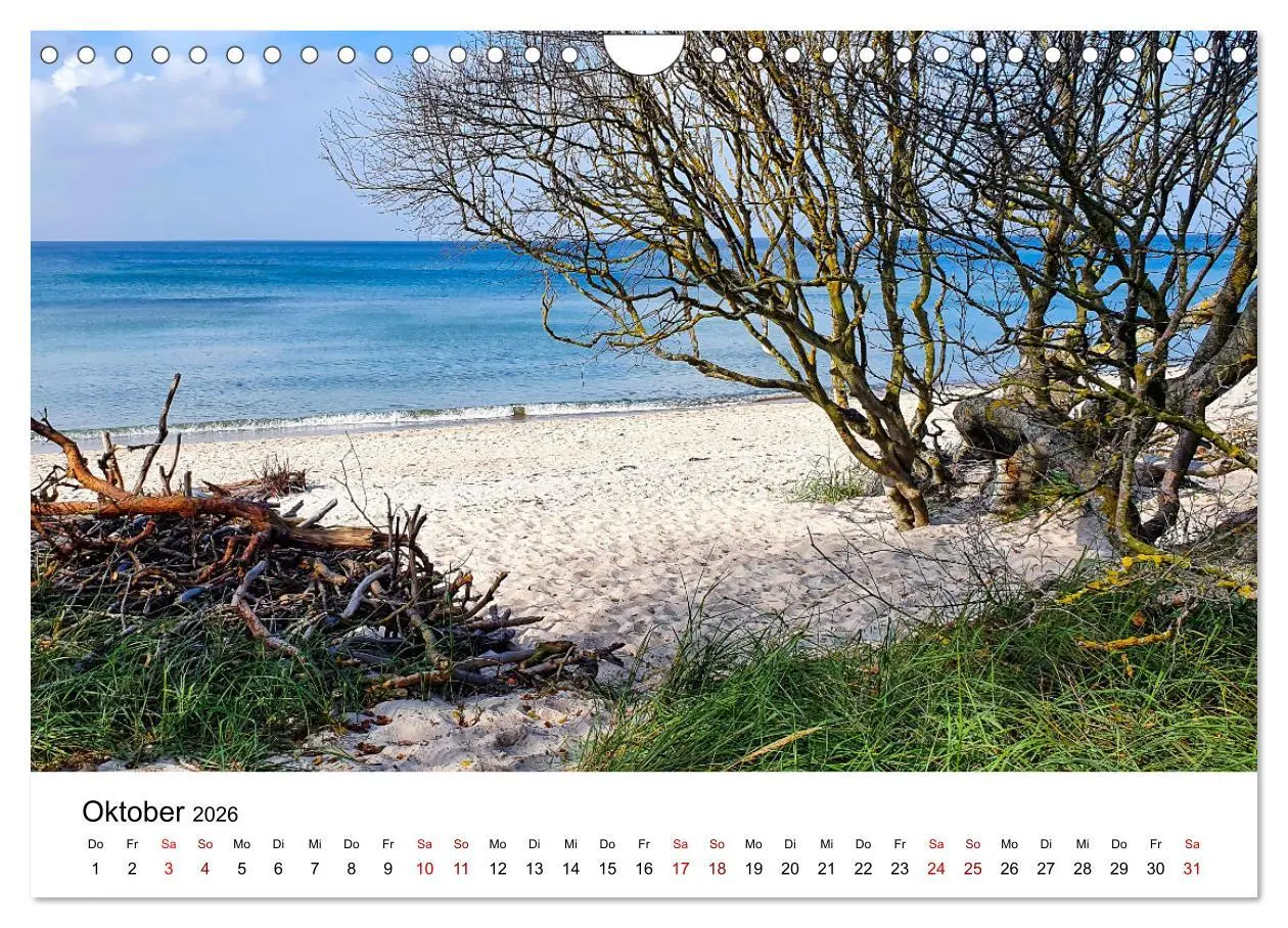 Bild: 9783457375563 | Fischland-Darß-Zingst - Traumhafte Ostseelandschaften (Wandkalender...