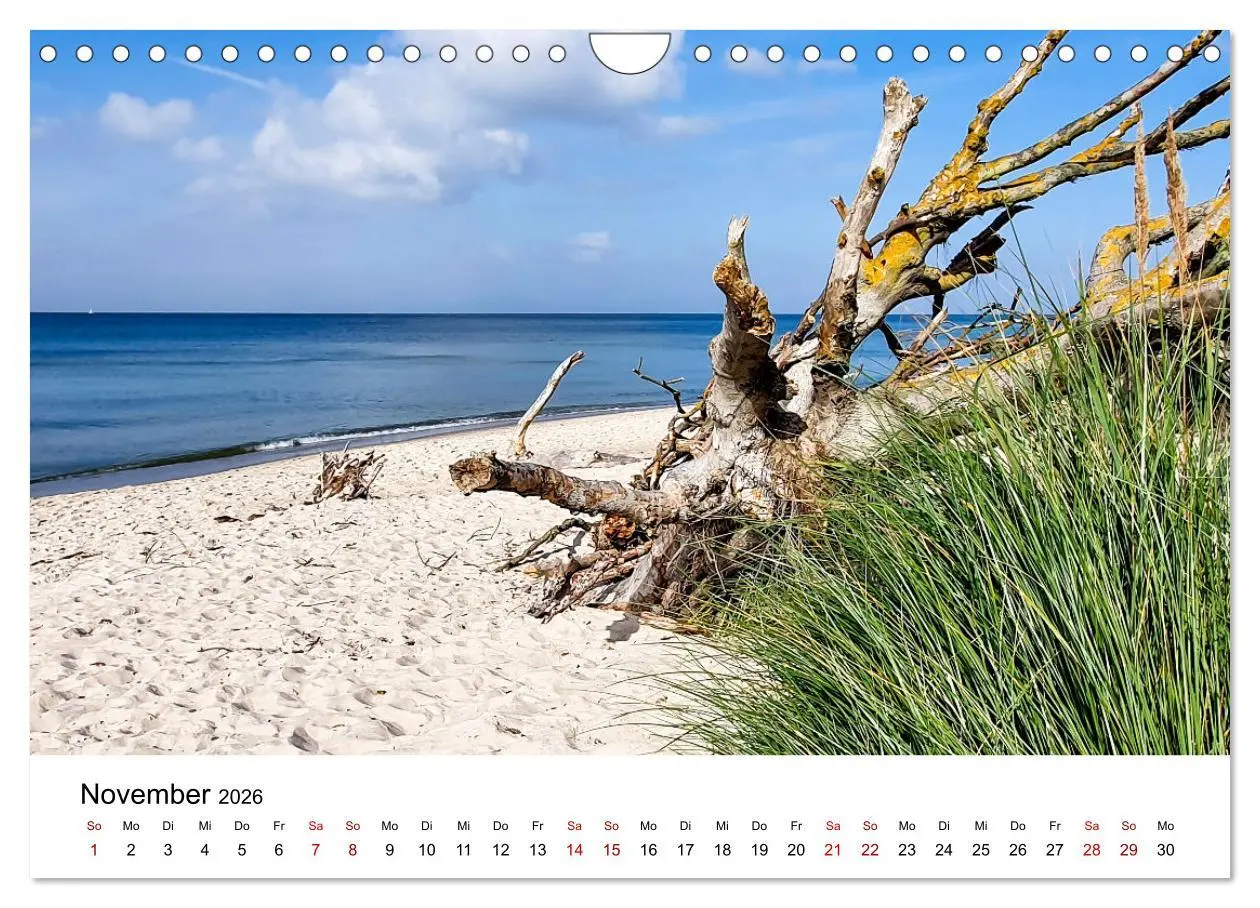 Bild: 9783457375563 | Fischland-Darß-Zingst - Traumhafte Ostseelandschaften (Wandkalender...