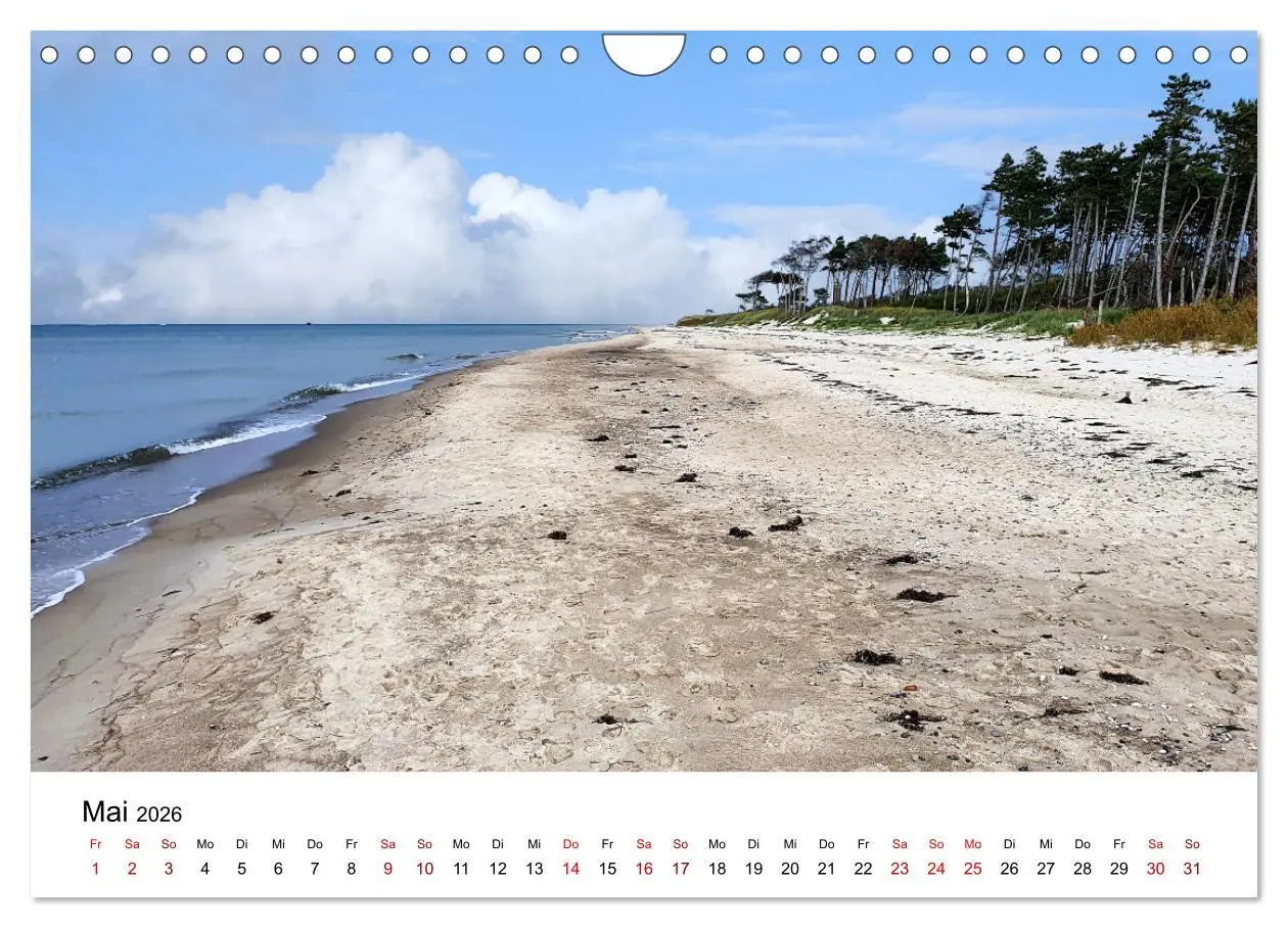 Bild: 9783457375563 | Fischland-Darß-Zingst - Traumhafte Ostseelandschaften (Wandkalender...