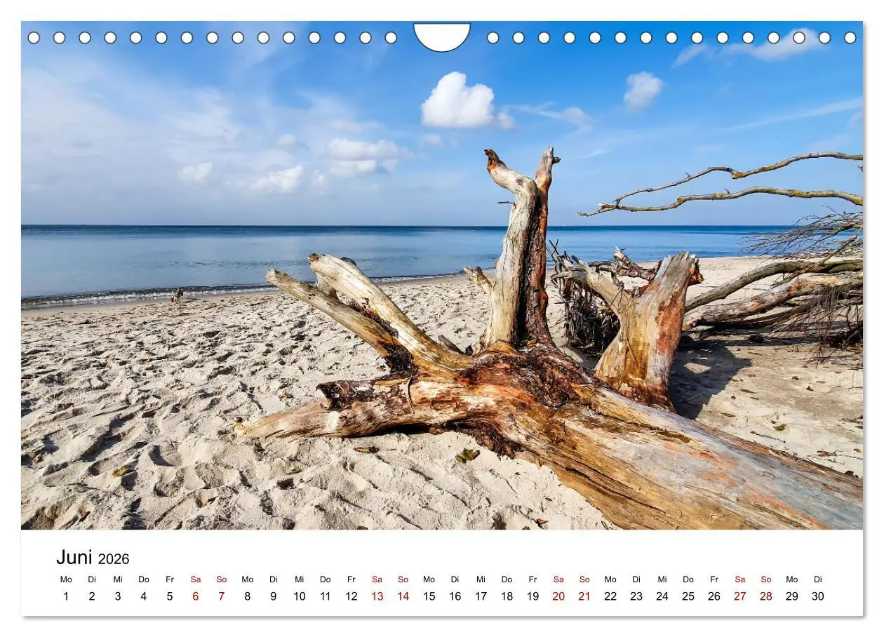 Bild: 9783457375563 | Fischland-Darß-Zingst - Traumhafte Ostseelandschaften (Wandkalender...