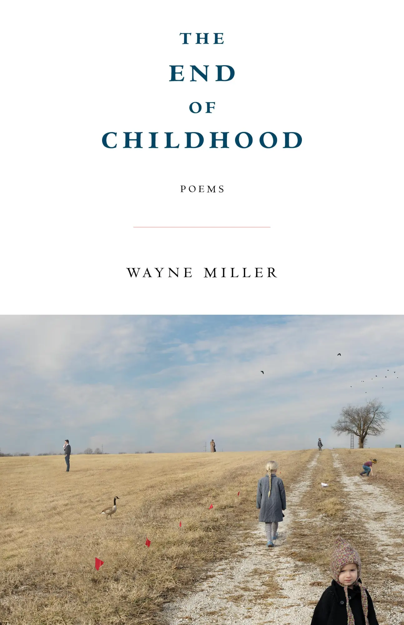 Cover: 9781571315663 | The End of Childhood | Poems | Wayne Miller | Taschenbuch | Englisch
