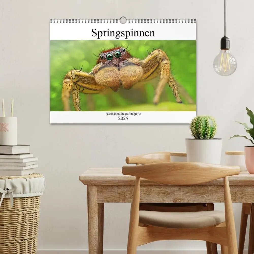 Bild: 9783435345663 | Faszination Makrofotografie: Springspinnen (Wandkalender 2025 DIN...