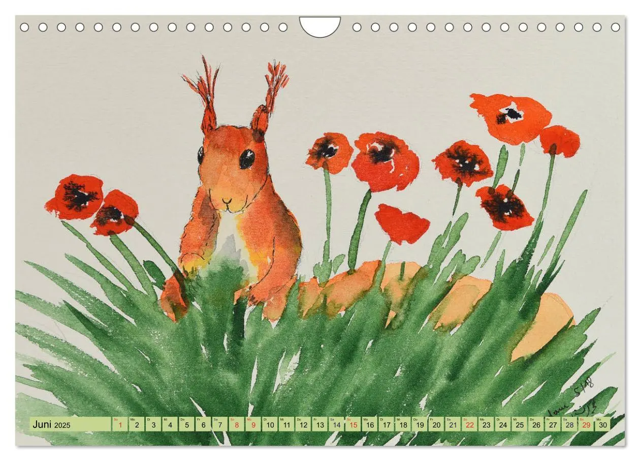 Bild: 9783435415663 | Eichhörnchen in Aquarell (Wandkalender 2025 DIN A4 quer), CALVENDO...