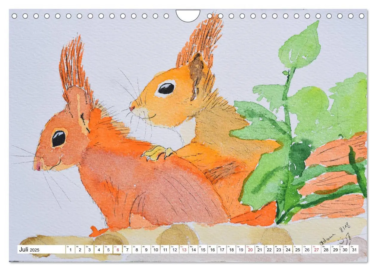 Bild: 9783435415663 | Eichhörnchen in Aquarell (Wandkalender 2025 DIN A4 quer), CALVENDO...