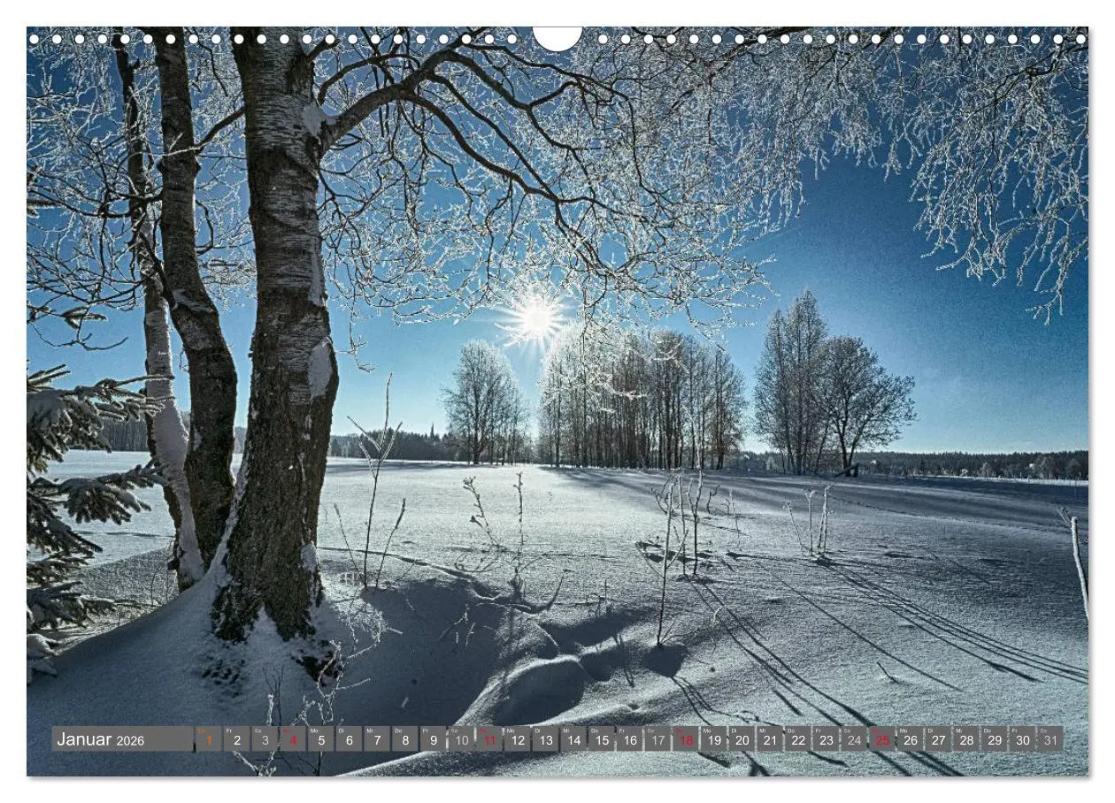 Bild: 9783516075663 | Vogtland - Impressionen (Wandkalender 2026 DIN A3 quer), CALVENDO...