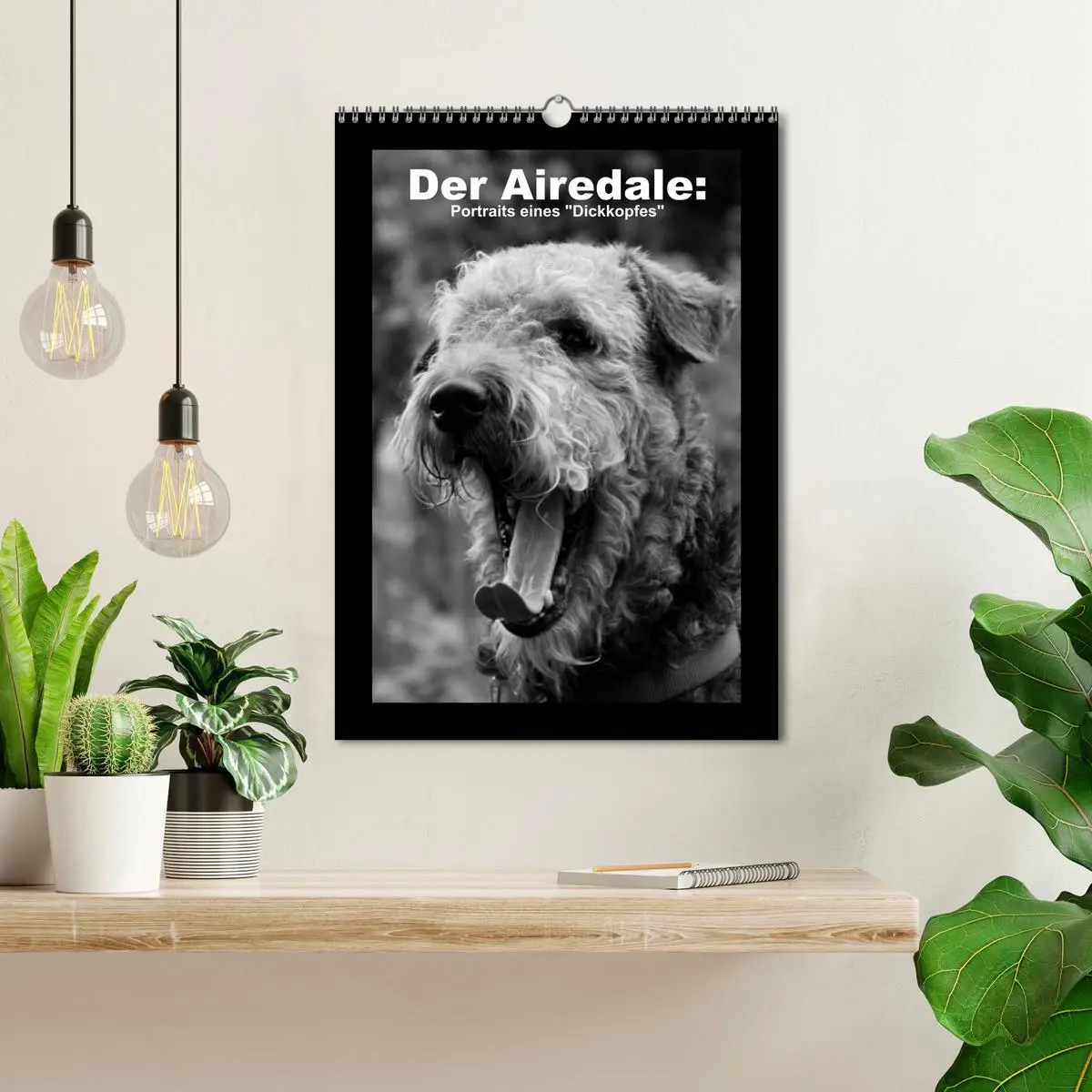 Bild: 9783516455663 | Der Airedale: Portraits eines "Dickkopfes" (Wandkalender 2026 DIN...