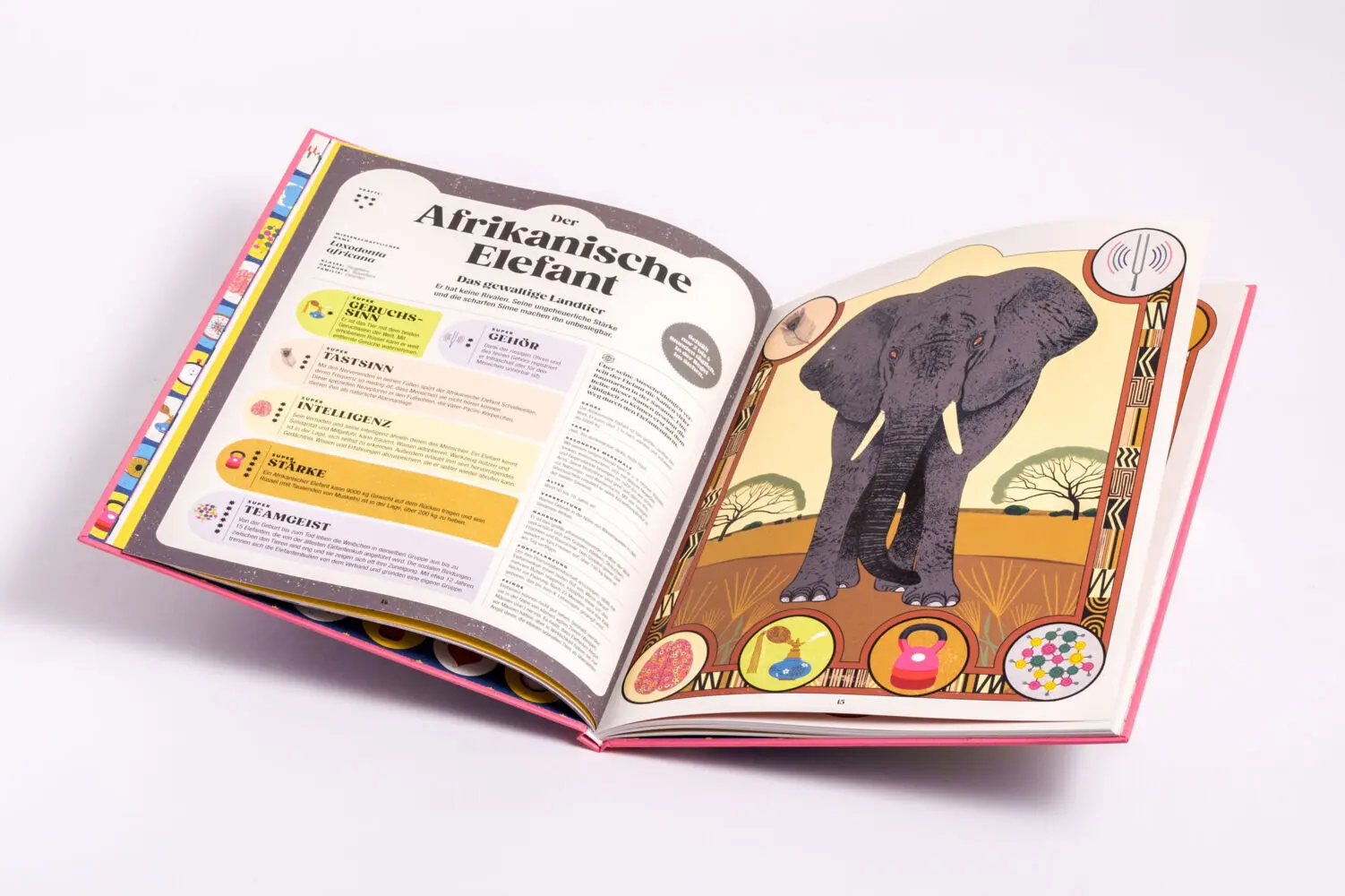 Bild: 9783791375663 | Tiere und ihre Superkräfte | Soledad Romero Mariño (u. a.) | Buch