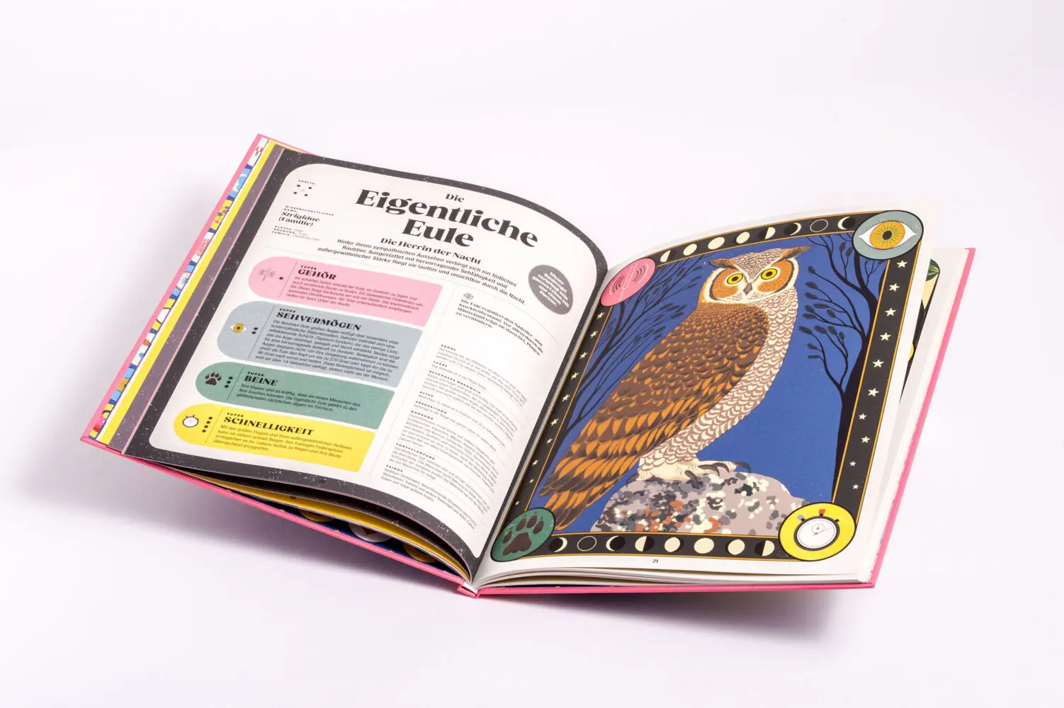 Bild: 9783791375663 | Tiere und ihre Superkräfte | Soledad Romero Mariño (u. a.) | Buch