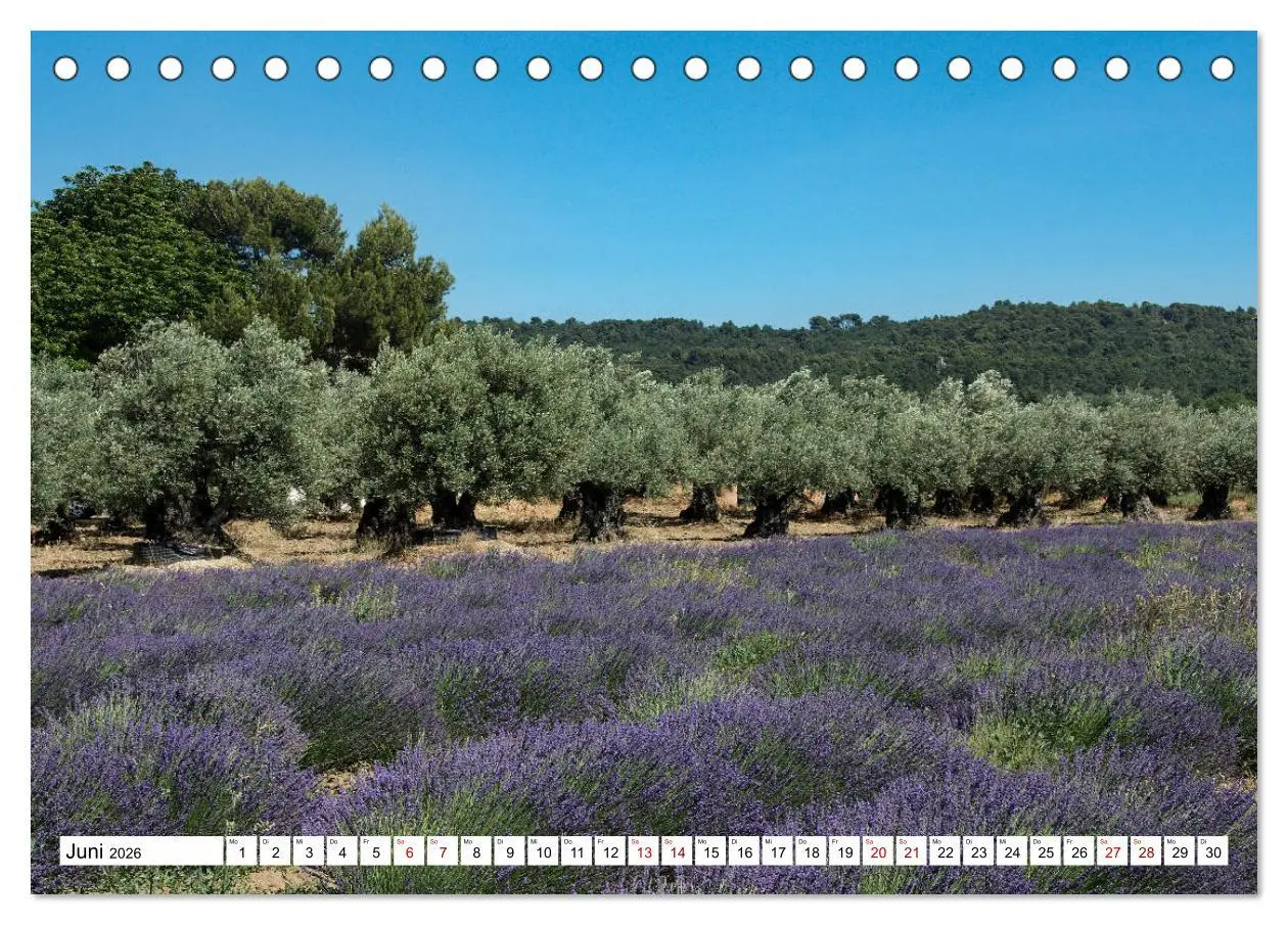 Bild: 9783457735763 | Mit dem Rennrad zum Mont Ventoux (Tischkalender 2026 DIN A5 quer),...