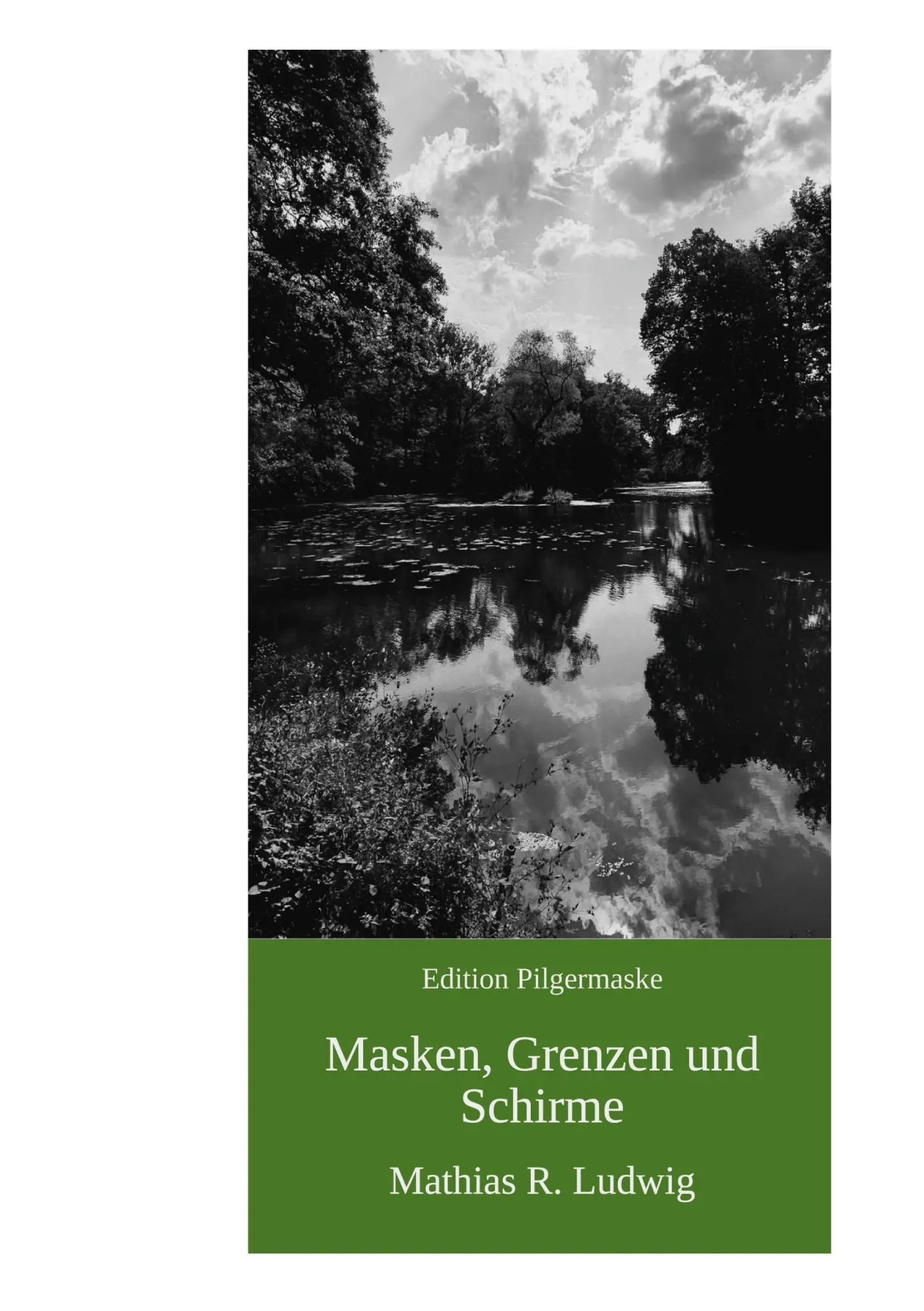 Cover: 9783695195763 | Masken, Grenzen und Schirme | Erzählungen aus der zivilen Randzone
