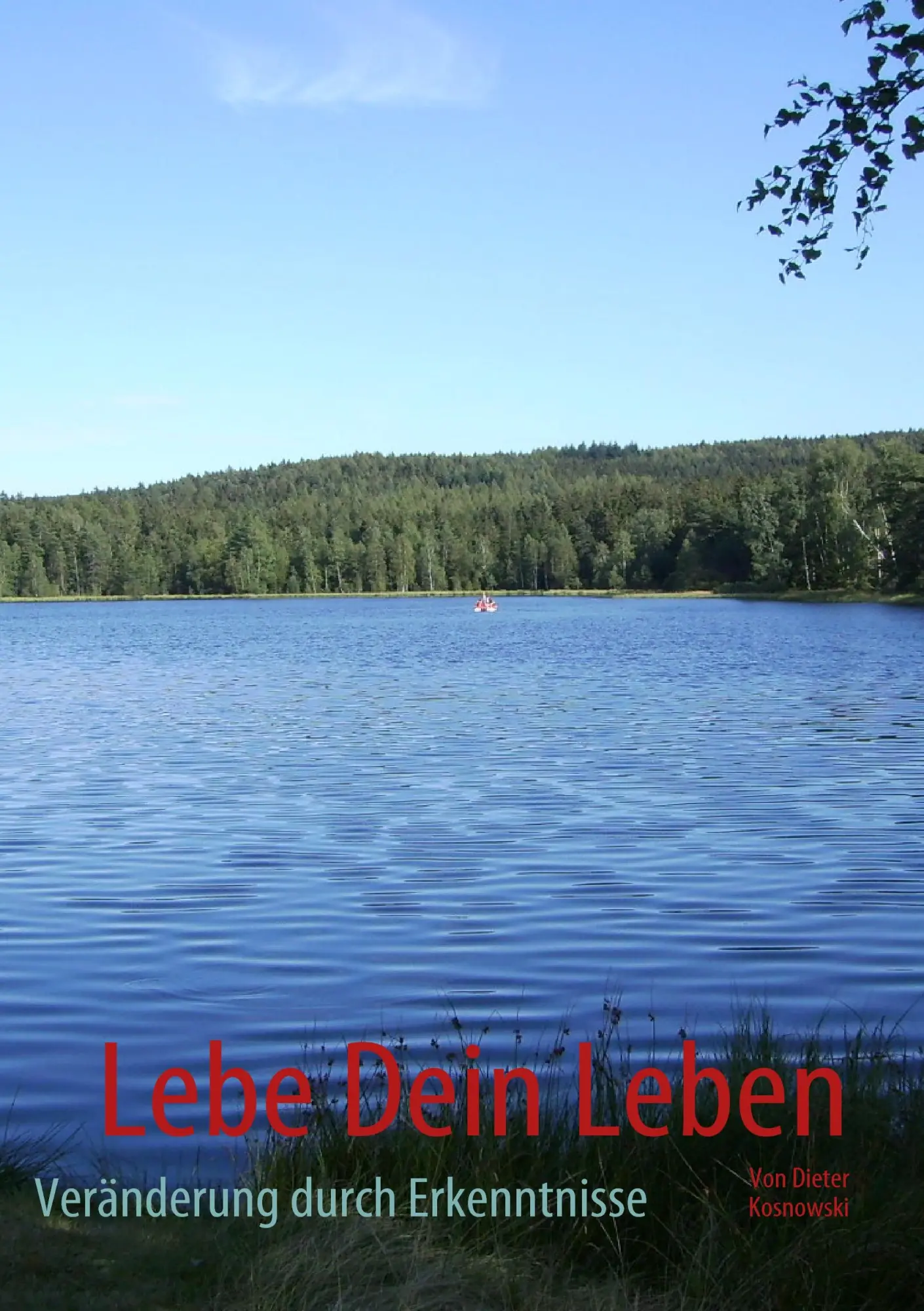 Cover: 9783839115763 | Lebe Dein Leben | Veränderung durch Erkenntnisse | Dieter Kosnowski