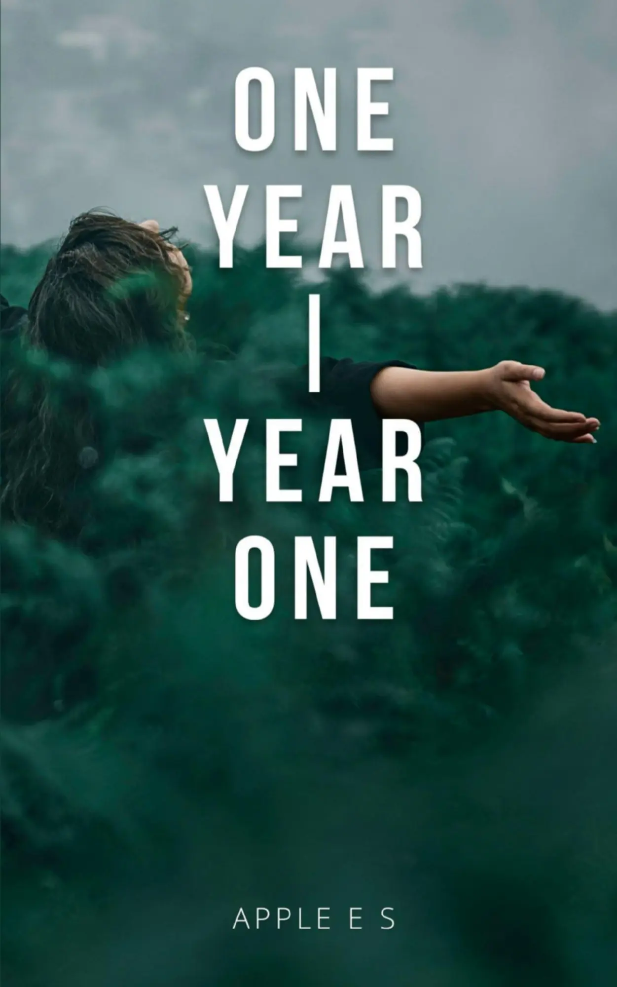Cover: 9789357215763 | One Year Year One | Apple E S | Taschenbuch | Englisch | 2023