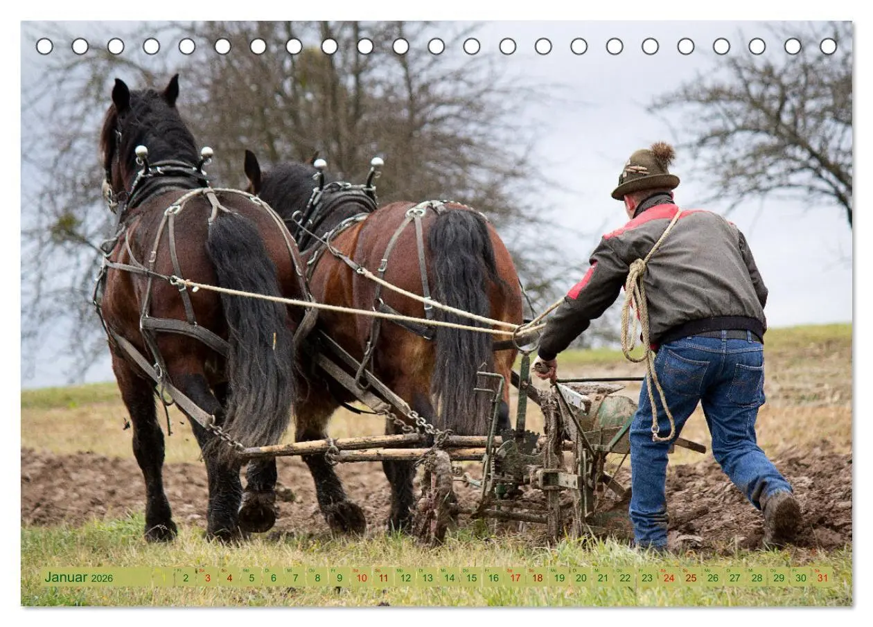 Bild: 9783457655863 | Zugpferde bei der Feldarbeit (Tischkalender 2026 DIN A5 quer),...