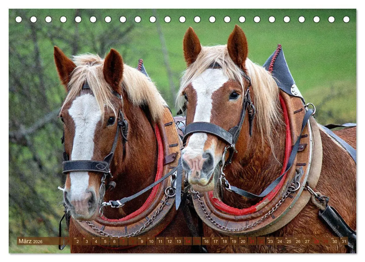 Bild: 9783457655863 | Zugpferde bei der Feldarbeit (Tischkalender 2026 DIN A5 quer),...