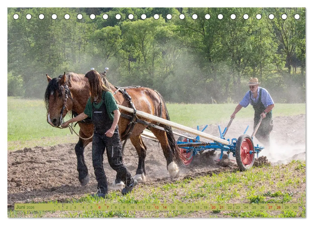 Bild: 9783457655863 | Zugpferde bei der Feldarbeit (Tischkalender 2026 DIN A5 quer),...