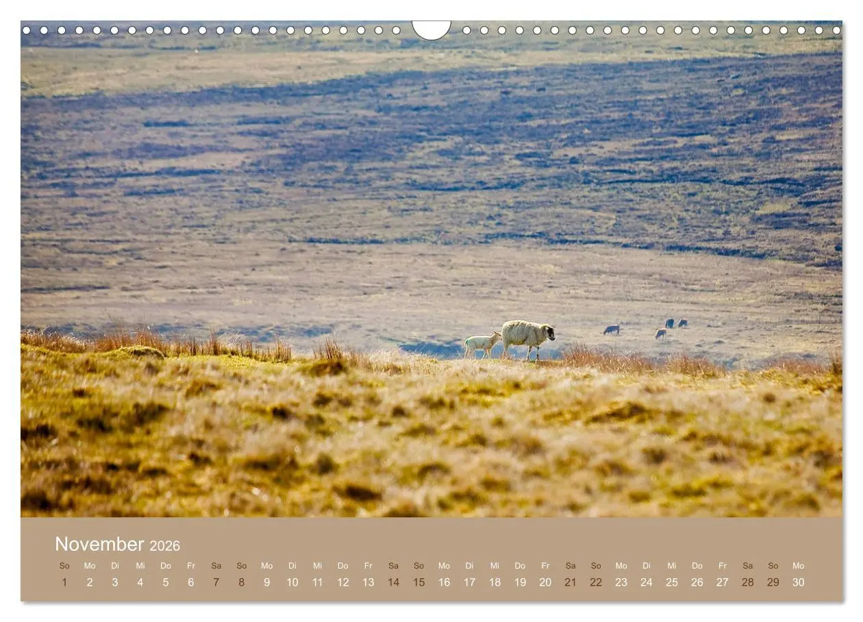 Bild: 9783457895863 | Unter Schafen - Wegbegleiter auf Reisen (Wandkalender 2026 DIN A3...
