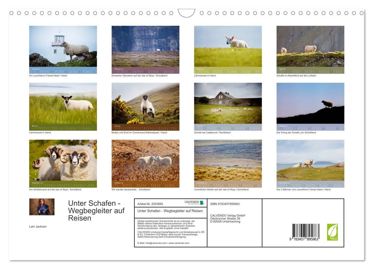 Bild: 9783457895863 | Unter Schafen - Wegbegleiter auf Reisen (Wandkalender 2026 DIN A3...