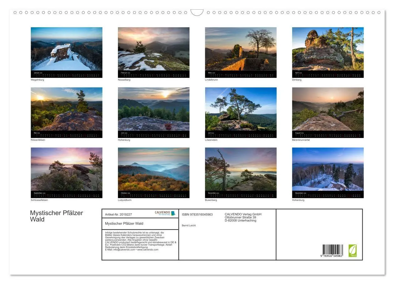 Bild: 9783516045963 | Mystischer Pfälzer Wald (Wandkalender 2026 DIN A2 quer), CALVENDO...