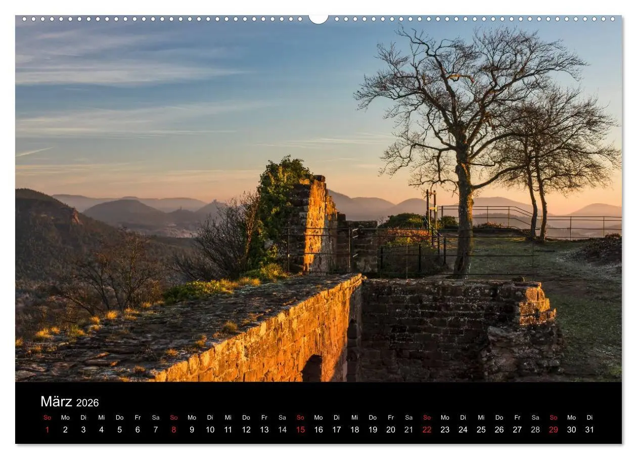 Bild: 9783516045963 | Mystischer Pfälzer Wald (Wandkalender 2026 DIN A2 quer), CALVENDO...