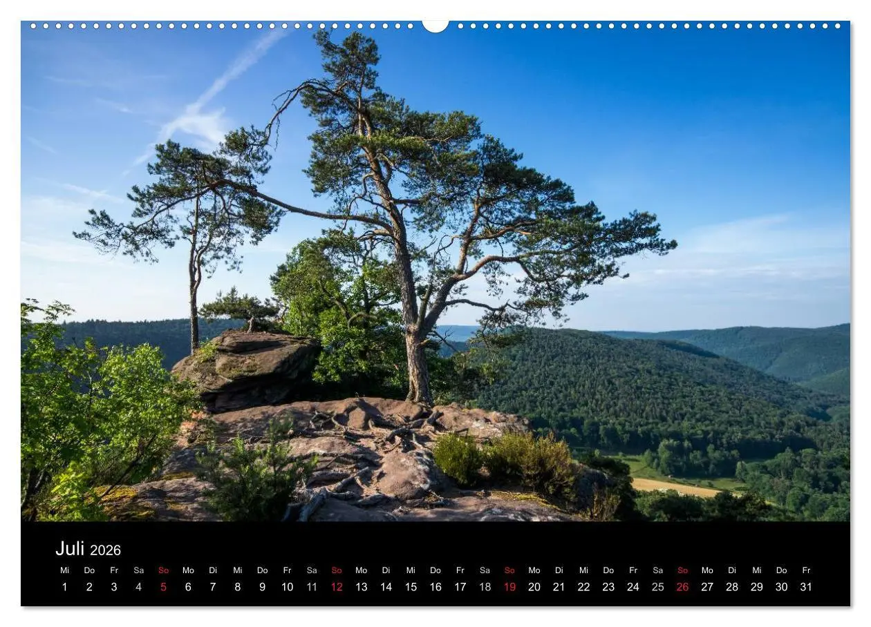 Bild: 9783516045963 | Mystischer Pfälzer Wald (Wandkalender 2026 DIN A2 quer), CALVENDO...