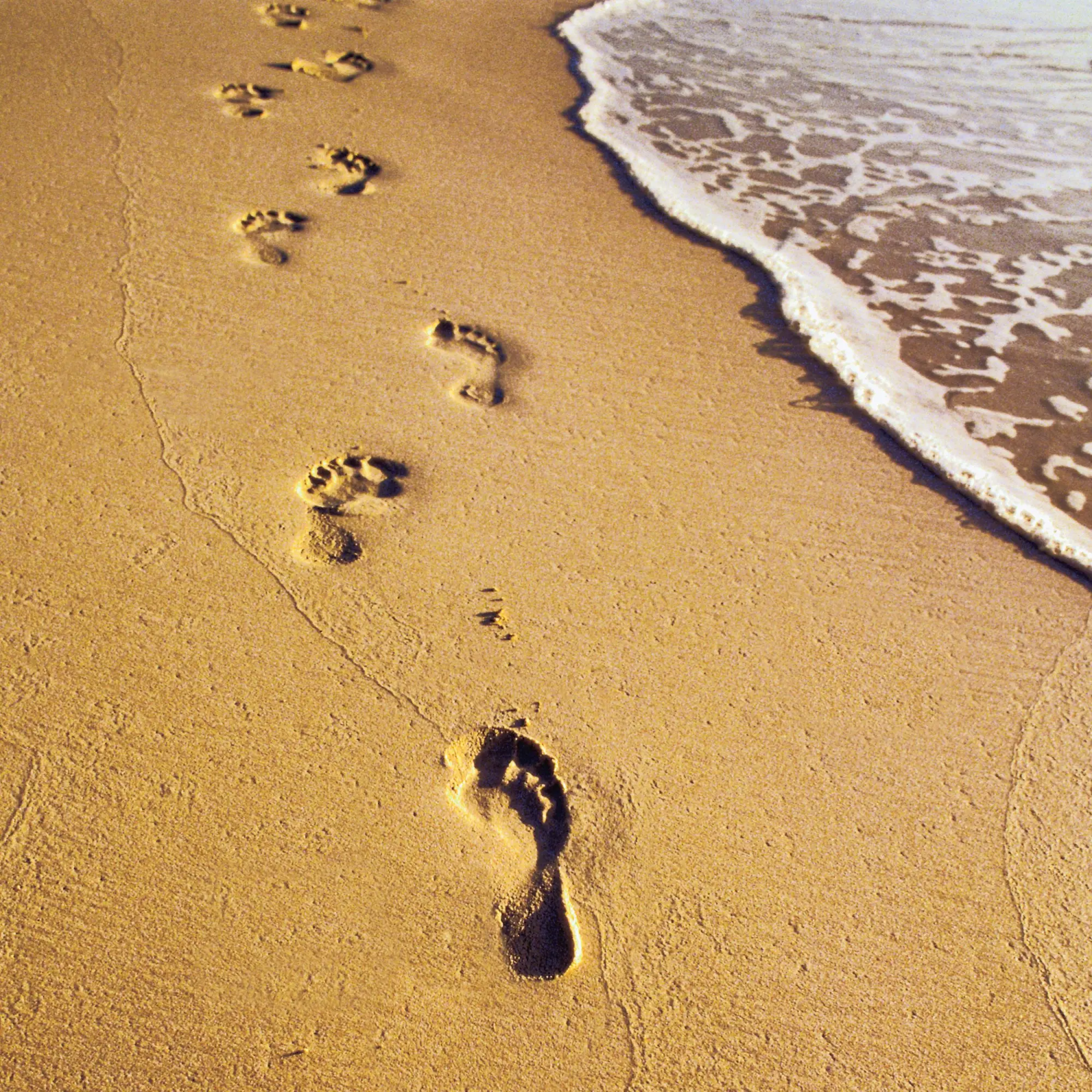 Bild: 9783959295963 | Strand und Meer/Beach and Sea 2026 | Kalender 2026 | Kalender | 28 S.