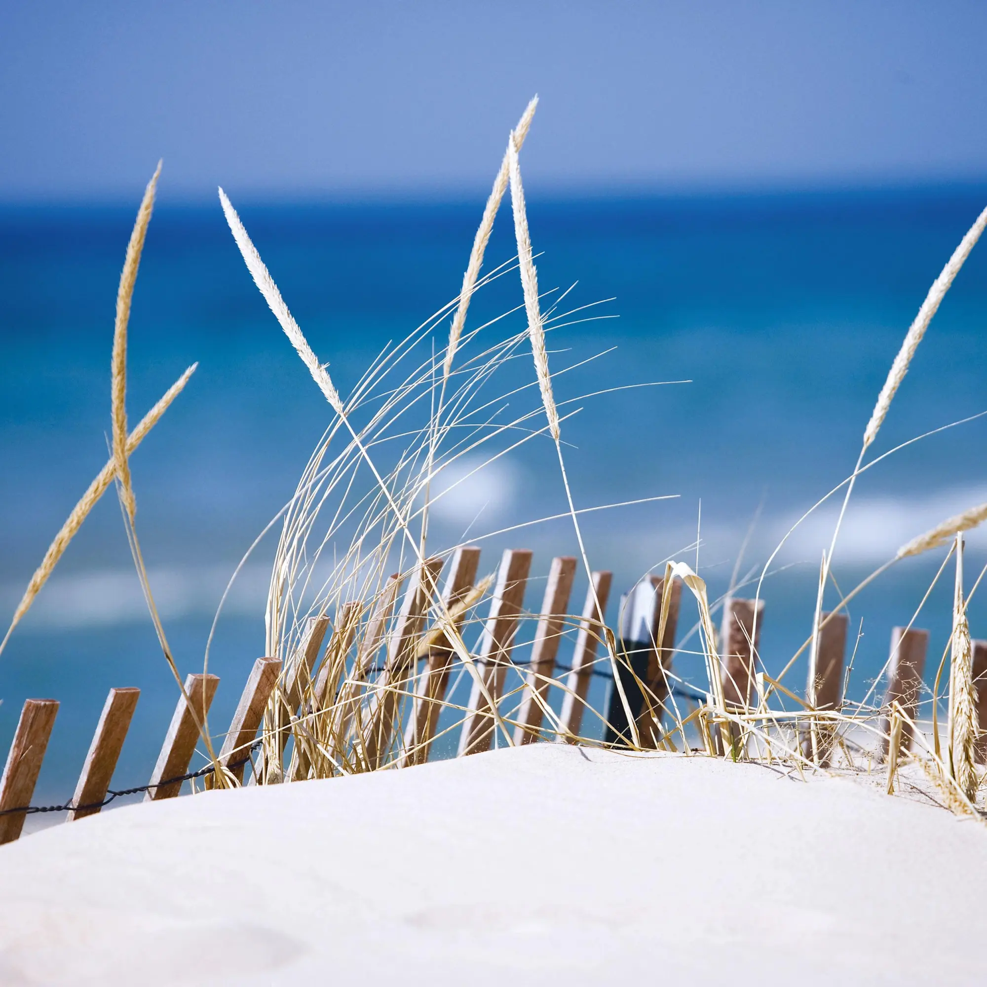Bild: 9783959295963 | Strand und Meer/Beach and Sea 2026 | Kalender 2026 | Kalender | 28 S.