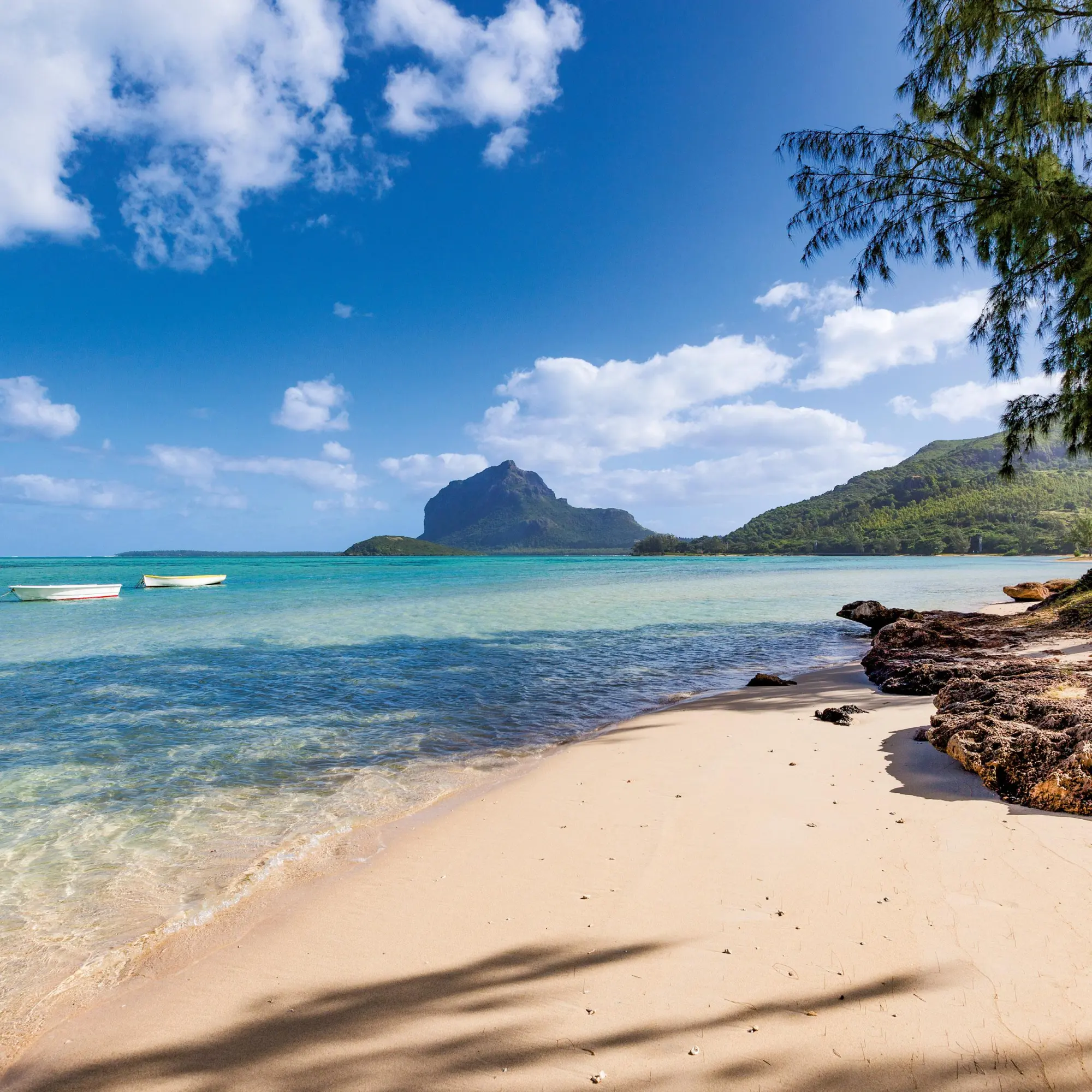 Bild: 9783959295963 | Strand und Meer/Beach and Sea 2026 | Kalender 2026 | Kalender | 28 S.