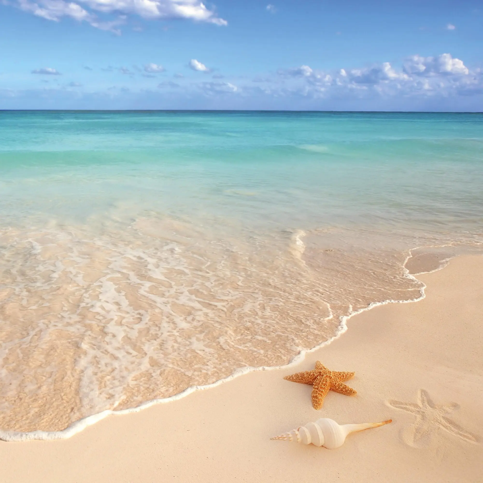 Bild: 9783959295963 | Strand und Meer/Beach and Sea 2026 | Kalender 2026 | Kalender | 28 S.