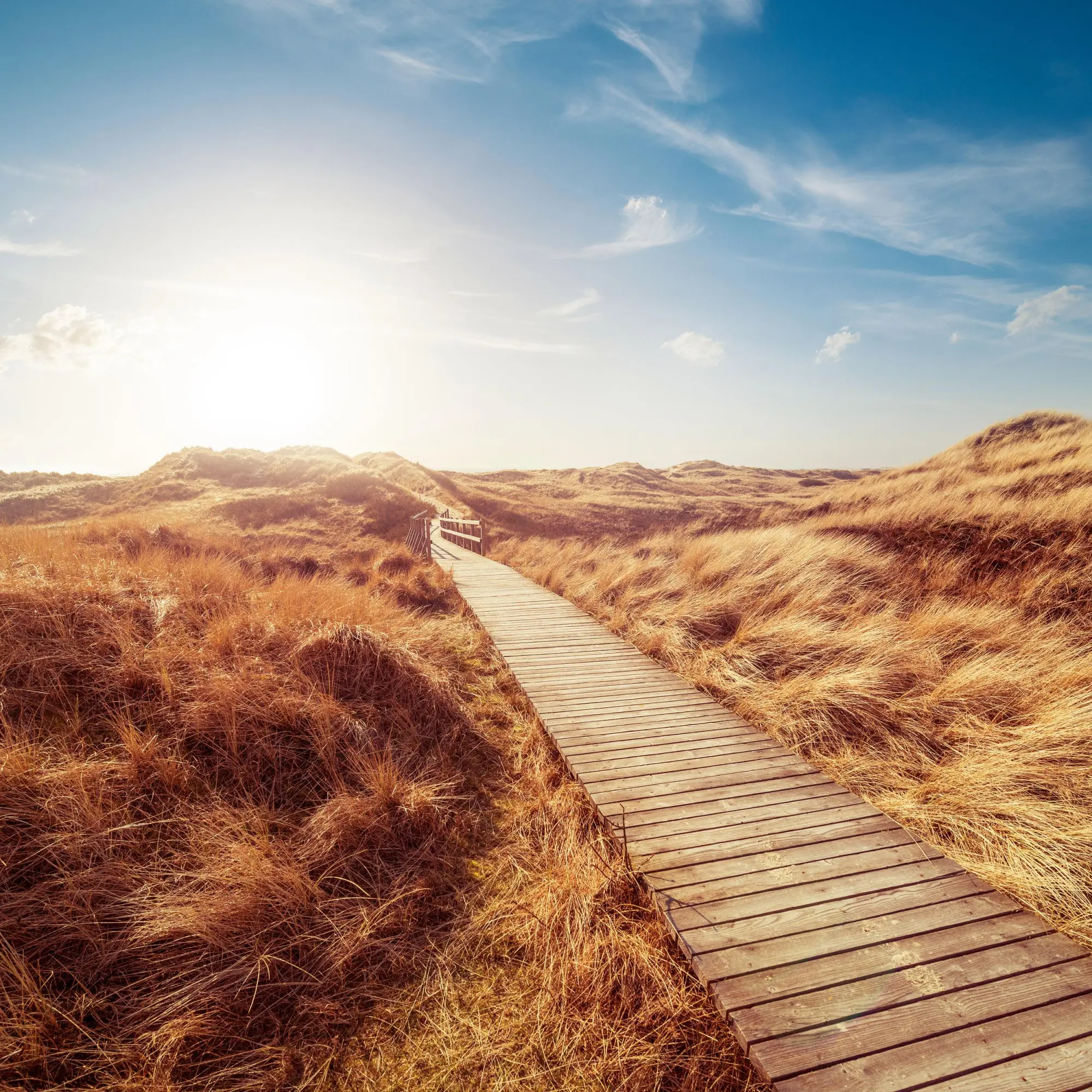 Bild: 9783959295963 | Strand und Meer/Beach and Sea 2026 | Kalender 2026 | Kalender | 28 S.