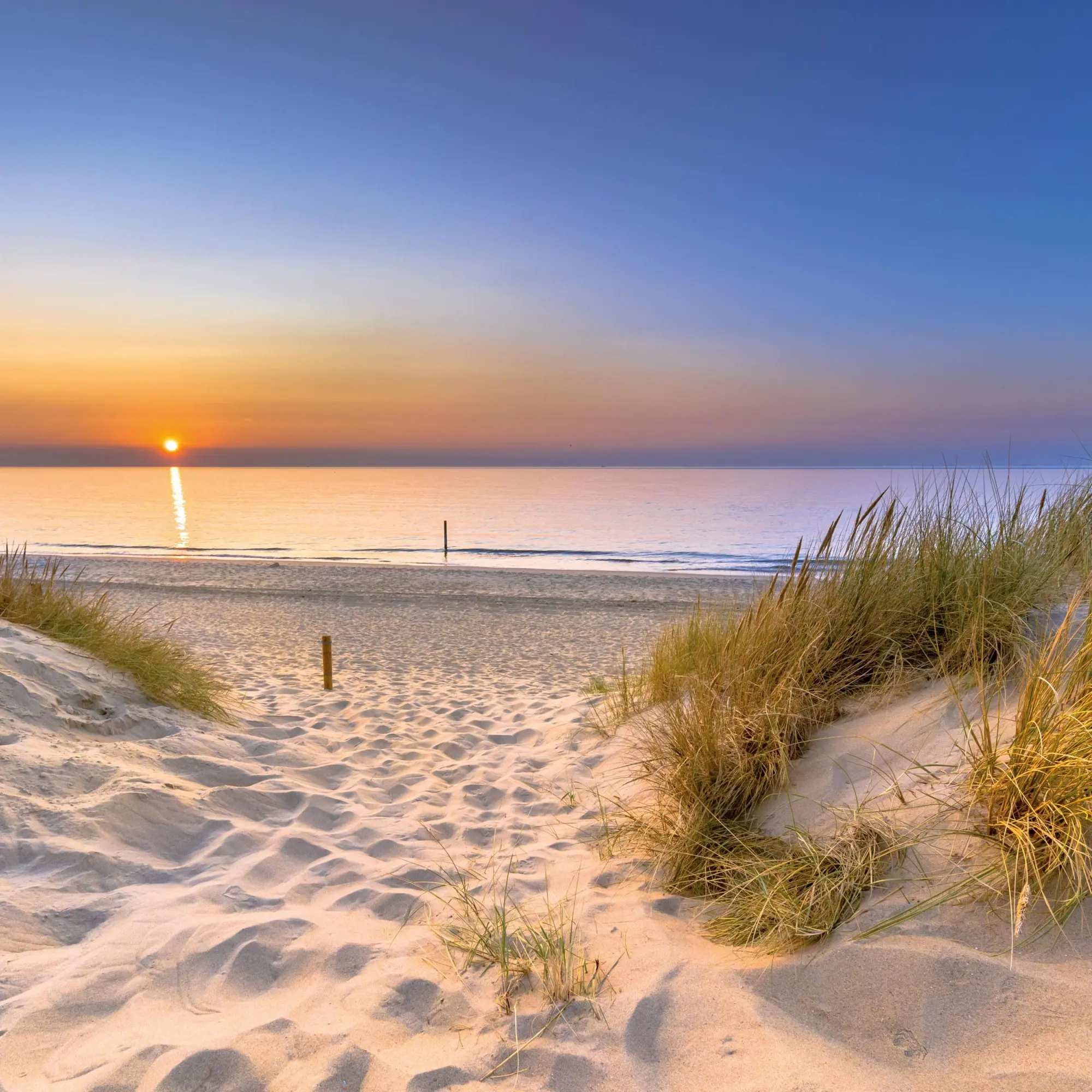 Bild: 9783959295963 | Strand und Meer/Beach and Sea 2026 | Kalender 2026 | Kalender | 28 S.