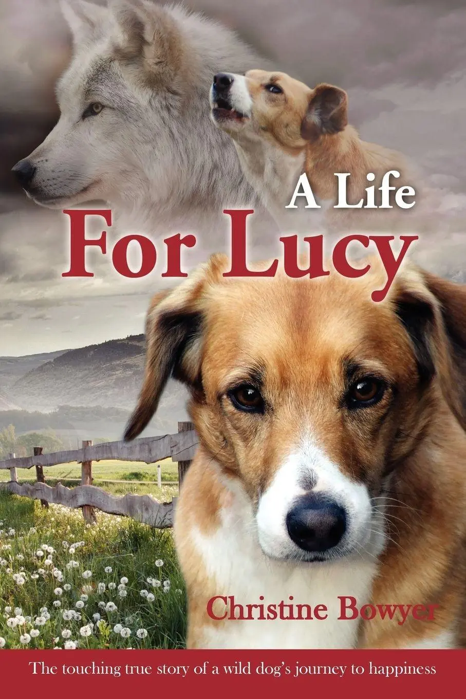 Cover: 9781440116063 | A Life For Lucy | Christine Bowyer | Taschenbuch | Englisch | 2009