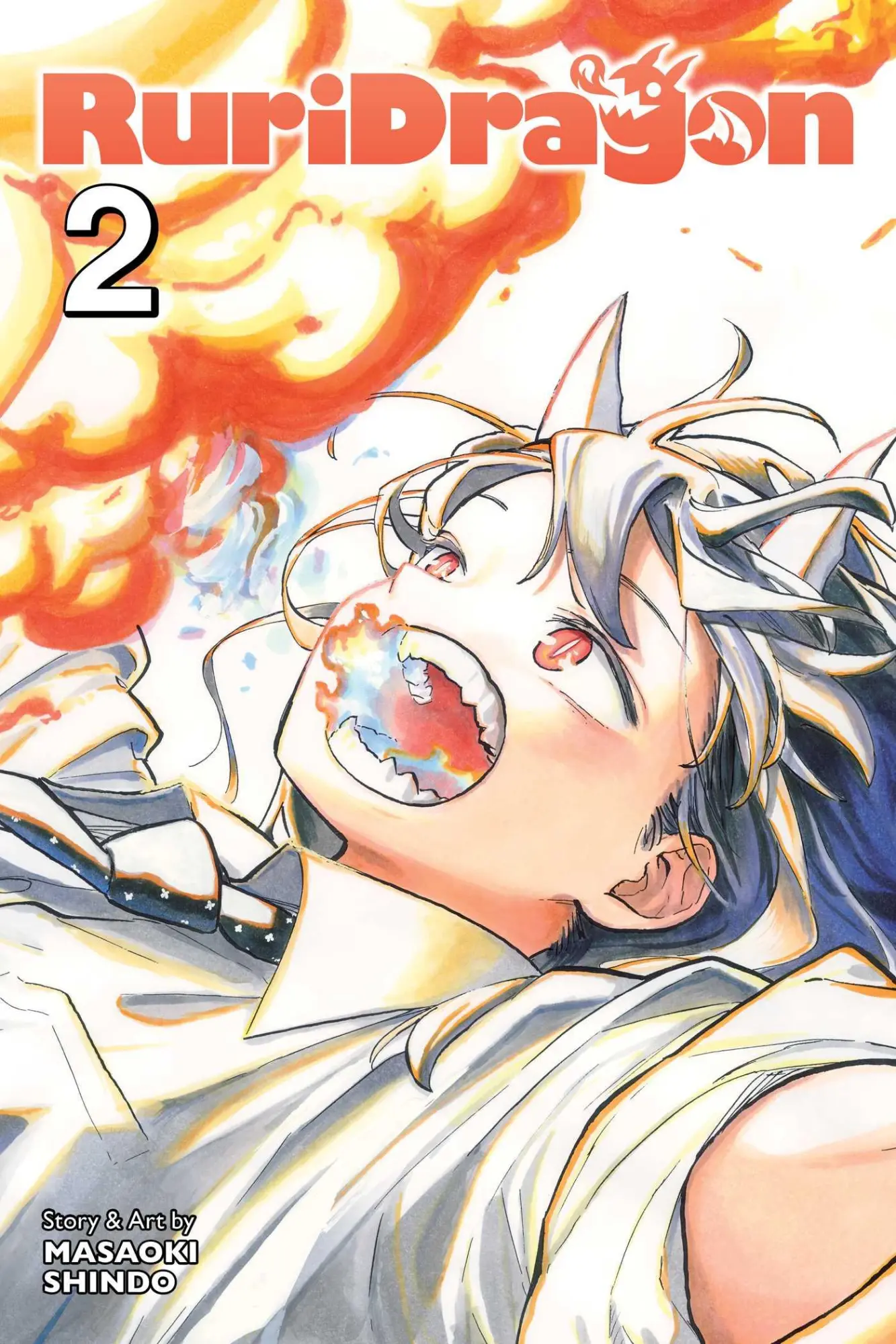 Cover: 9781974756063 | RuriDragon, Vol. 2 | Masaoki Shindo | Taschenbuch | RuriDragon | 2025