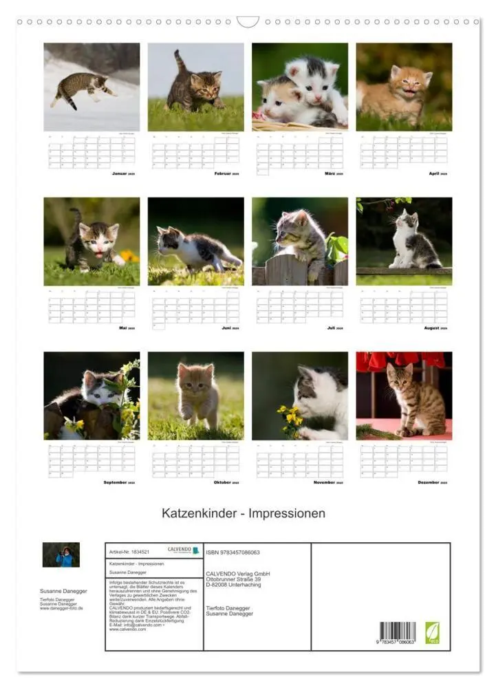 Bild: 9783457086063 | Katzenkinder - Impressionen (Wandkalender 2025 DIN A2 hoch),...